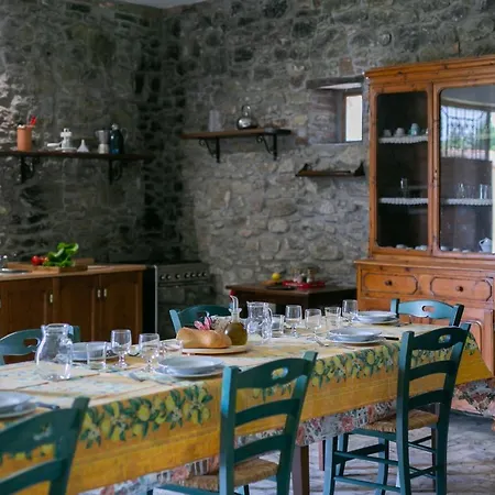 Villa Gelsi By Mmega Cortona